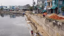 “Giải cứu” vịnh Đà Nẵng 