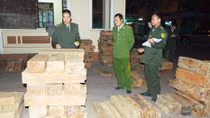 Bị kiểm tra, lái xe bỏ gỗ chạy lấy người