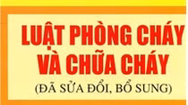 Tập huấn chuyên sâu Luật sửa đổi, bổ sung một số điều của Luật Phòng cháy và chữa cháy