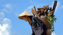 Lê Ngọc Minh: Tiếng vọng Biển – Rừng