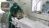 Hai bệnh nhân bị rắn độc cắn đã qua cơn nguy kịch