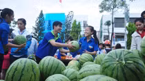 Mùa dưa đắng