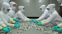 Kinh tế ổn định, thu ngân sách đạt khá
