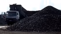 Xem xét việc cấp phép thăm dò mỏ than ở Tiền Hải
