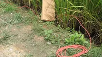 Giăng điện bắt cá làm chết người