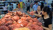 Hơn 100 tấn hành tím Vĩnh Châu đã được bao tiêu