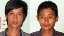Rủ bạn trộm bò của cha ruột đem bán