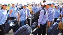 Xử phạt hành vi vi phạm quy định về dịch vụ việc làm, thử việc