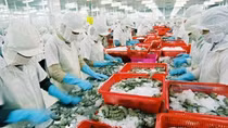 Hàng Việt xuất sang Hàn Quốc đạt 6,53 tỷ USD