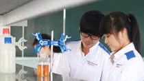 Phân luồng học sinh ngay từ bậc trung học cơ sở
