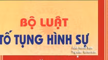 Một số ý kiến về quyền của người bị bắt, bị tạm giữ, bị can, bị cáo trong tố tụng hình sự 