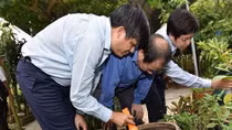 Chính phủ chỉ đạo các địa phương tăng cường chống dịch sốt xuất huyết