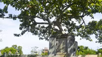 Thiêng liêng được gọi tiếng "Thầy"