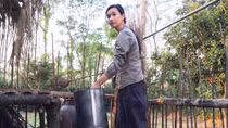 Chiếu phục vụ miễn phí 20 bộ phim