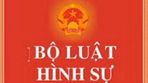 Có nên bỏ hình phạt tử hình đối với các tội phá hoại hòa bình, chống loài người và tội phạm chiến tranh? 