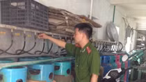 Tiềm ẩn nguy cơ hỏa hoạn ở làng gốm Bát Tràng
