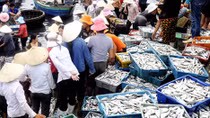 Tập trung tháo gỡ khó khăn xuất khẩu hàng nông lâm thủy sản