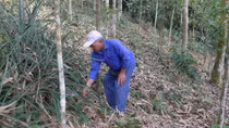 Người cựu binh rộng lòng hiến đất