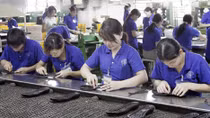 Kiến nghị xử lý hình sự nợ đọng bảo hiểm