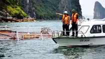 Thuyền trưởng tàu chở hàng phạm luật