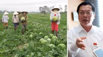 Đừng đổ lỗi cho người nông dân