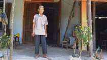Xác minh vụ ‘bò lạc’ vào nhà trưởng thôn