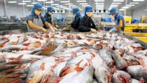 Thái Lan nhập khẩu cá tra Việt Nam đứng đầu ASEAN