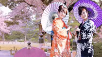 Thành phố Tokyo đẩy mạnh quảng bá du lịch tại Việt Nam