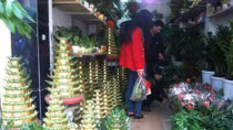 Hoa, cây cảnh Tết 2015: Độc đáo, bình dân lên ngôi