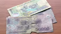 Năm 2015 được xem là 'năm công tác tiêu hủy'