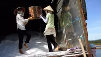 Việt Nam nhập khẩu muối khoảng 20 triệu USD