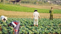 Truyền hơi ấm tình người cho những cuộc đời lầm lỡ