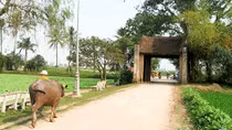 Làng và nước mắt thời mở cửa