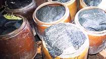 Kinh hoàng công nghệ sản xuất giá đậu bằng thạch cao