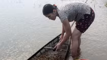 Đời hến bên sông Trà