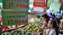 Héo hắt ở Lễ hội trái cây Nam Bộ lần thứ 12