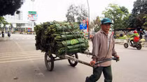 Những sản phẩm thời vụ dịp Tết… hút khách