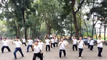 Tĩnh tâm, vượng sức… với Thái cực quyền