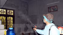 Khoanh vùng giám sát nơi bệnh nhân Hàn Quốc nhiễm virus Zika ở Việt Nam