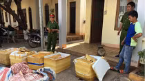 Phát hiện xe tải chở 460kg thịt heo không rõ nguồn gốc