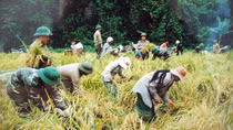 Tháng chạp ở thung lũng đại ngàn Trường Sơn