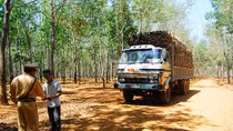 Siết chặt quản lý kinh doanh vận tải và kiểm soát tải trọng phương tiện trên đường bộ