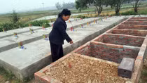 Vợ chồng già xây nghĩa địa hài nhi