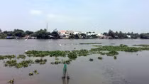 Ngưng lấy nước trên sông Sài Gòn do nhiễm mặn