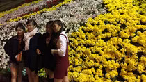 Mãn nhãn với 'đặc sản' hút khách tại Đà Lạt