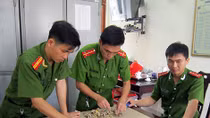 Phá đường dây mua bán móng vuốt hổ trị giá hàng tỷ đồng