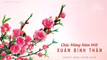Bộ trưởng Trần Đại Quang chúc mừng năm mới 
