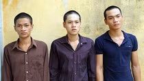 Điều tra làm rõ hơn 20 vụ trộm “đột vòm” mùa thu hoạch điều
