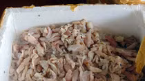 Xử lý cơ sở chế biến chả cá từ cá thối