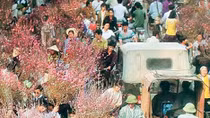 Bao giờ cho đến... Tết xưa?